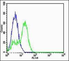 Ron (Phospho-Tyr1238+Tyr1239) antibody