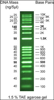Safe-Green 1kb Opti-DNA Marker
