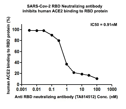 SARS-CoV-2 Spike Protein Antibody