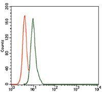 SCGB1A1 Antibody