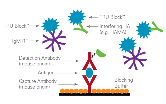 TRU Block Ready, Heterophilic Antibody Interference, Active Blocker