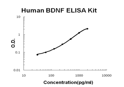 Human BDNF ELISA Kit