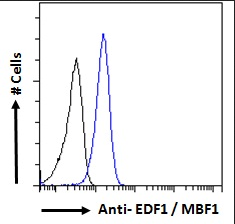Goat anti-EDF1 / MBF1 Antibody