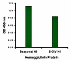 Seasonal H1N1 Hemagglutinin Antibody