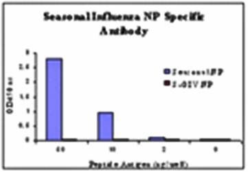 Seasonal H1N1 Nucleocapsid Protein Antibody