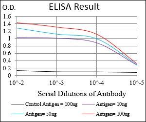 SERPINA7 Antibody