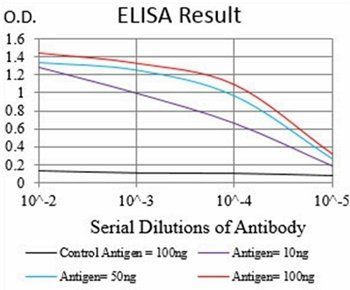 SHC1 Antibody