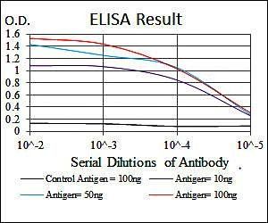 SKP1 Antibody