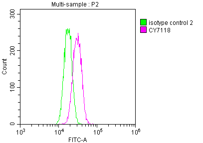 SKP2 Recombinant Monoclonal Antibody