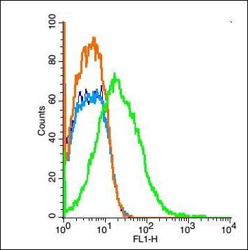 SLC20A2 Rabbit Polyclonal Antibody