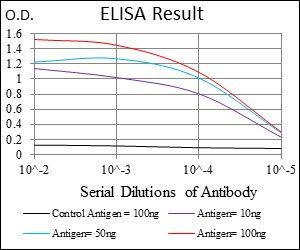 SLC27A2 Antibody