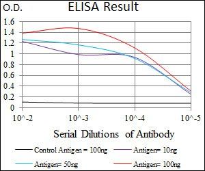 SLC2A4 Antibody