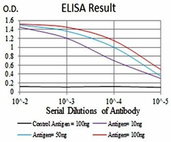 SLINGSHOT-1L Antibody