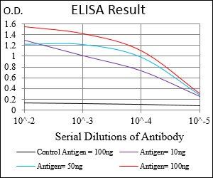 SMCP Antibody