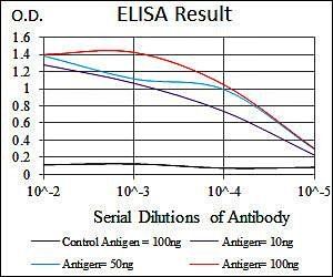 SPI1 Antibody