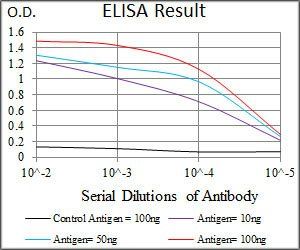 SPIB Antibody