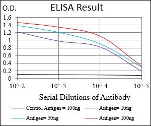 SSTR3 Antibody