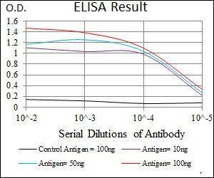 STAT5A Antibody