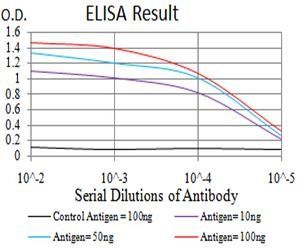 SUZ12 Antibody