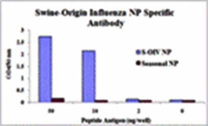 Swine H1N1 Nucleocapsid Protein Antibody