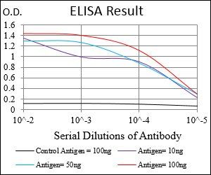 SYCP3 Antibody