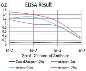 SYN1 Antibody