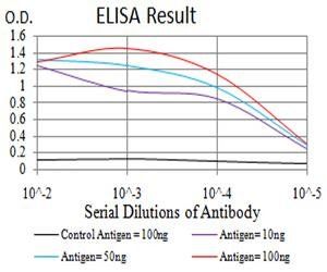 SYN1 Antibody