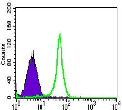 TAB2 Antibody