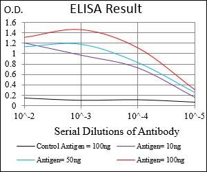 TCL1A Antibody