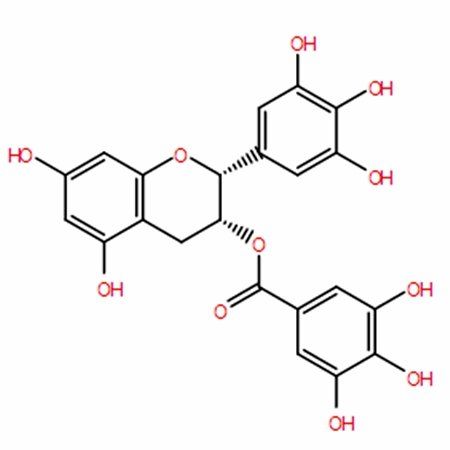 Tea polyphenol