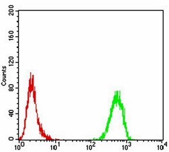 TH Antibody