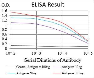 TIE1 Antibody