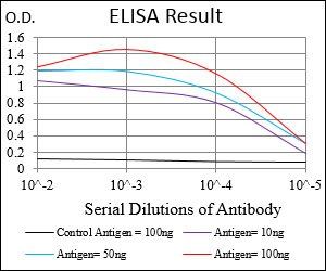 TIE1 Antibody