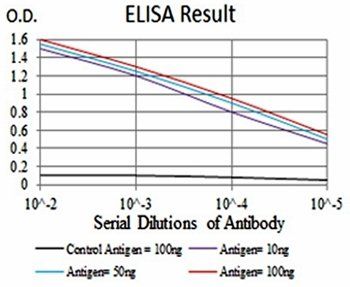 TIP60 Antibody