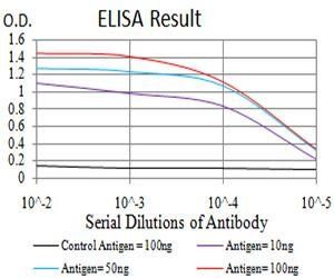 TRAF2 Antibody