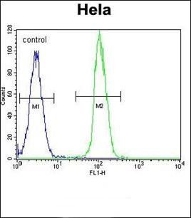 TrkA-pY791 antibody