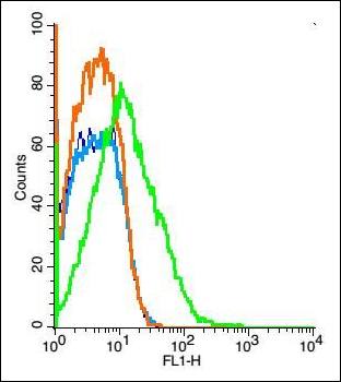 TRPM6 Rabbit Polyclonal Antibody