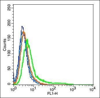TSPAN15 Rabbit Polyclonal Antibody