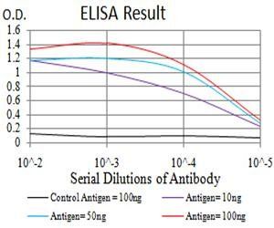 TTF1 Antibody