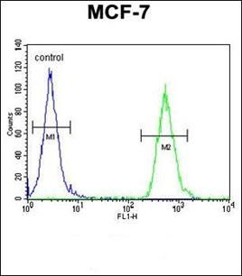 TTPAL antibody