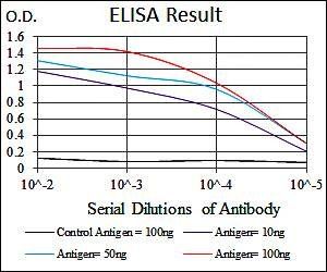 TUBA8 Antibody