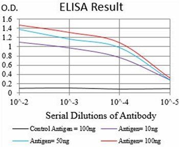 UBE2C Antibody