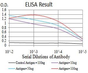 UCP3 Antibody