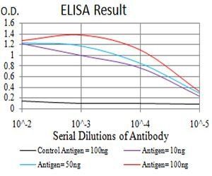 UFD1L Antibody