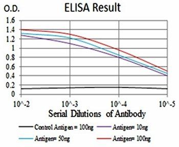 VAV2 Antibody