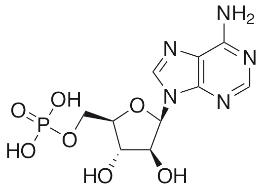 Vidarabine Monophosphate