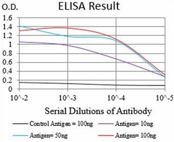 VIL1 Antibody