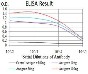 VIMP Antibody