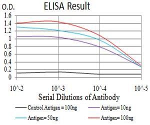 VIMP Antibody