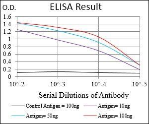 WAS Antibody